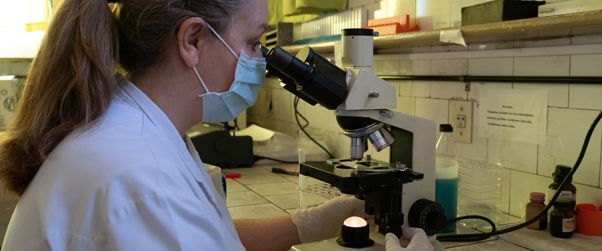 UBAInternacional-Investigación UBAInternacional-Investigación