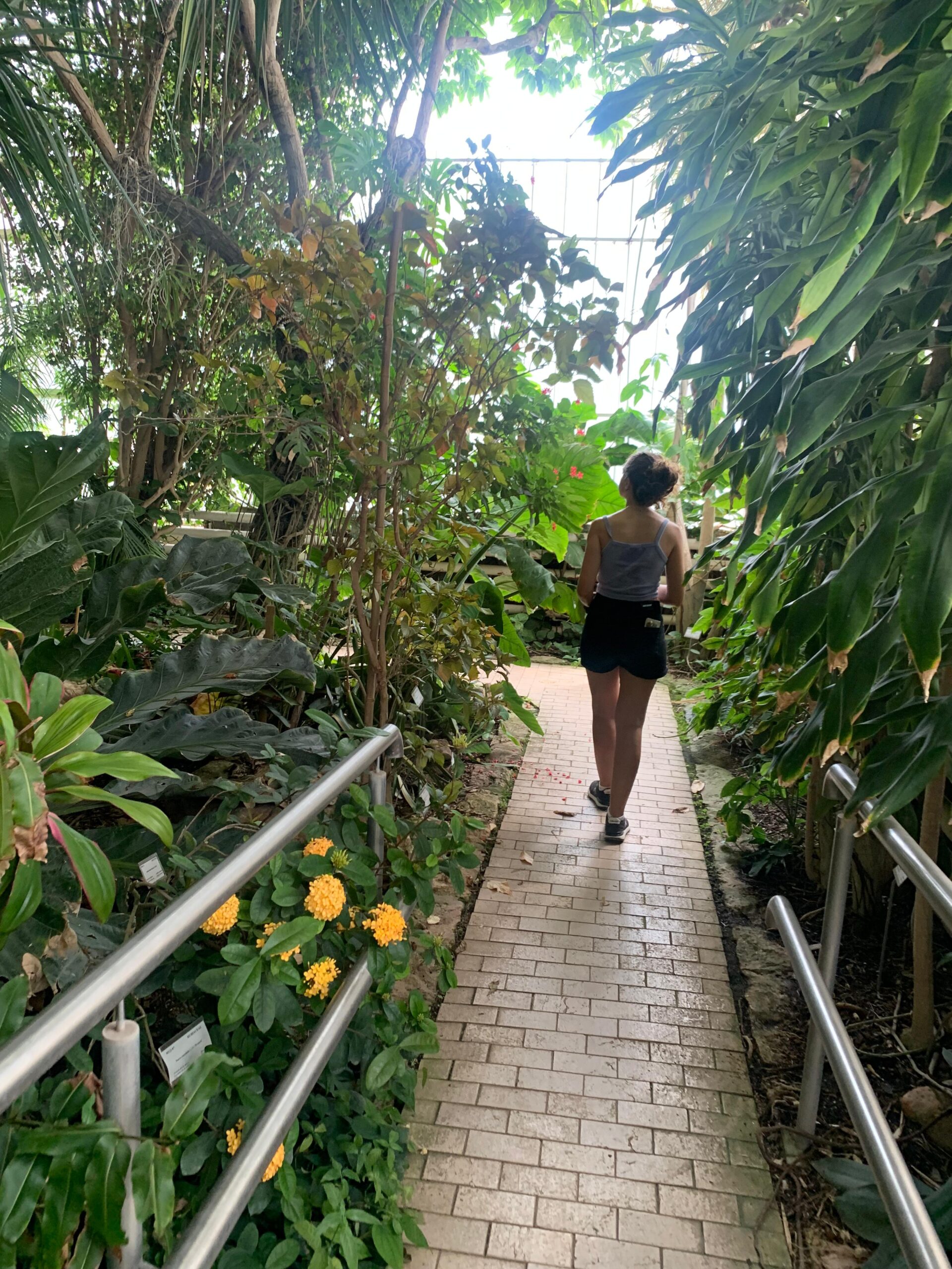 Jazmín Gambino – Programa UBAINT estudiantes