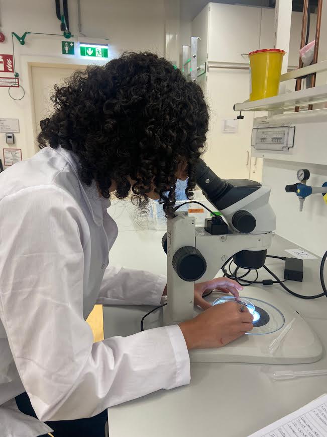 Lara Farina – Programa UBAINT estudiantes